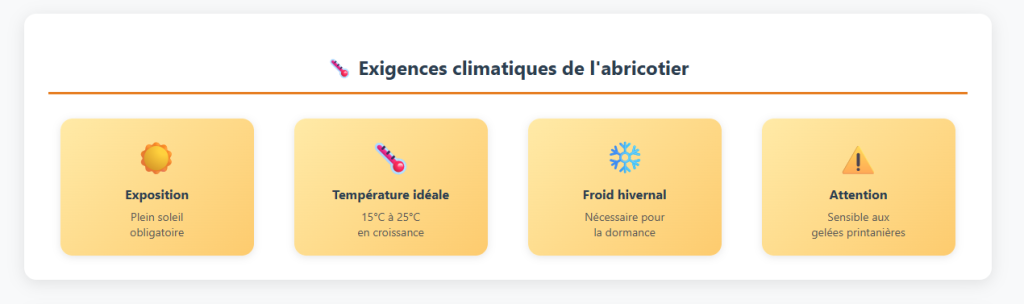Quel climat pour un abricotier