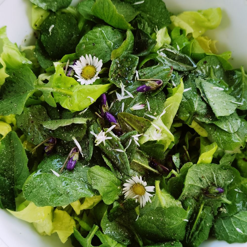 Salade verte parsemée de fleurs comestibles