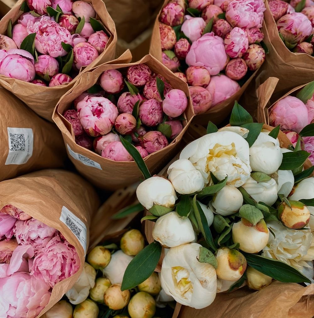 Bouquets de pivoines roses et blanches