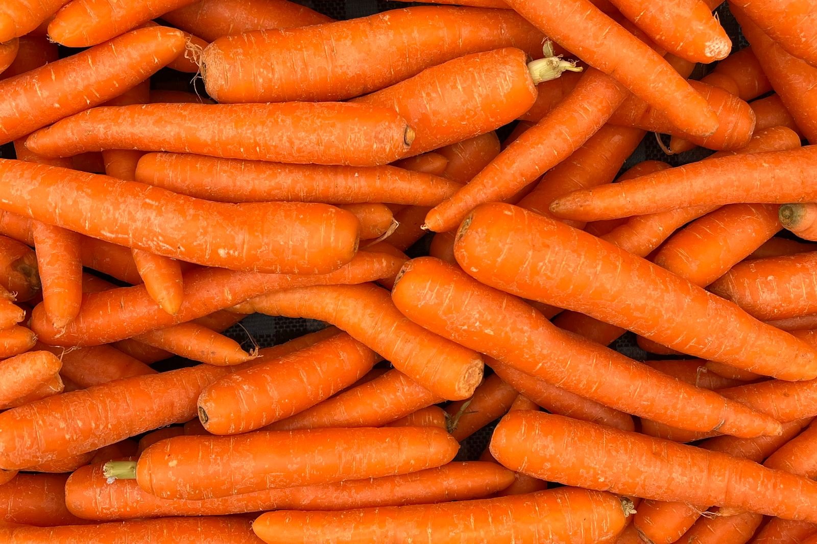 bien fait carottes