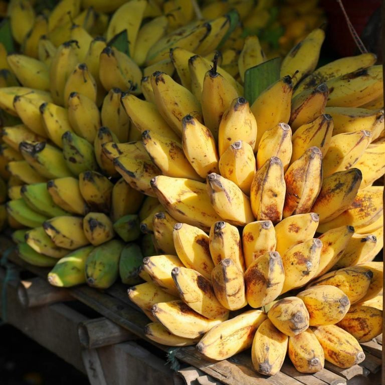 Comment planter des bananiers chez vous ?