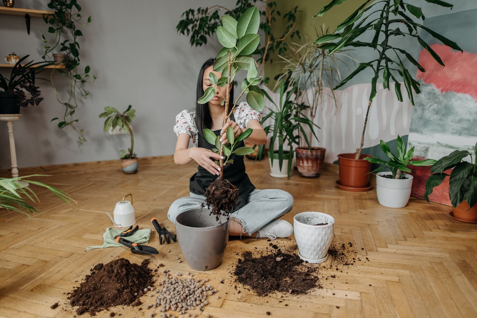 Conseils pour maintenir la santé de vos plantes d'intérieur