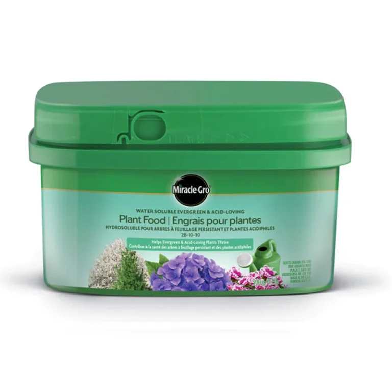 Engrais pour redonner des feuilles vertes : 10 solutions efficaces et naturelles