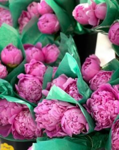 Bouquets de pivoines roses