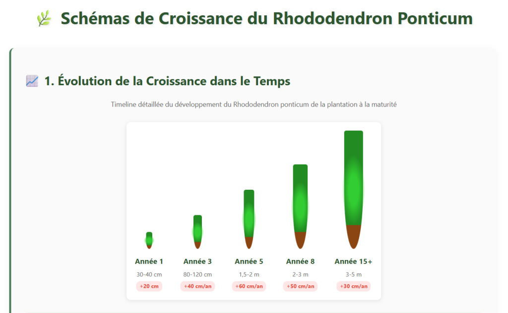 Rhododendron Ponticum : Croissance Rapide ou Lente Selon les Conditions
