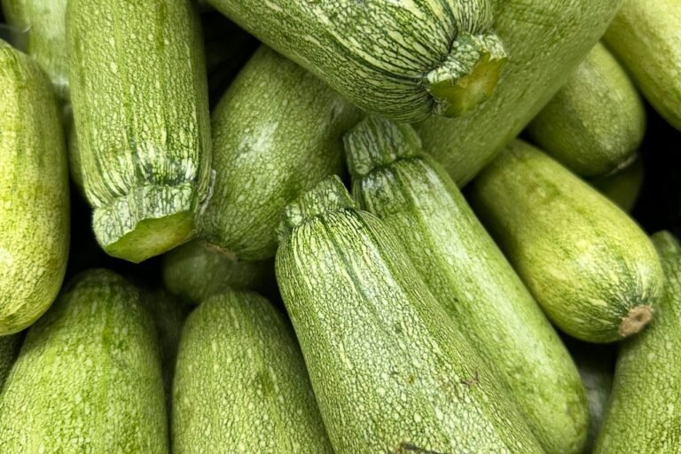 Courgettes vert clair en vrac