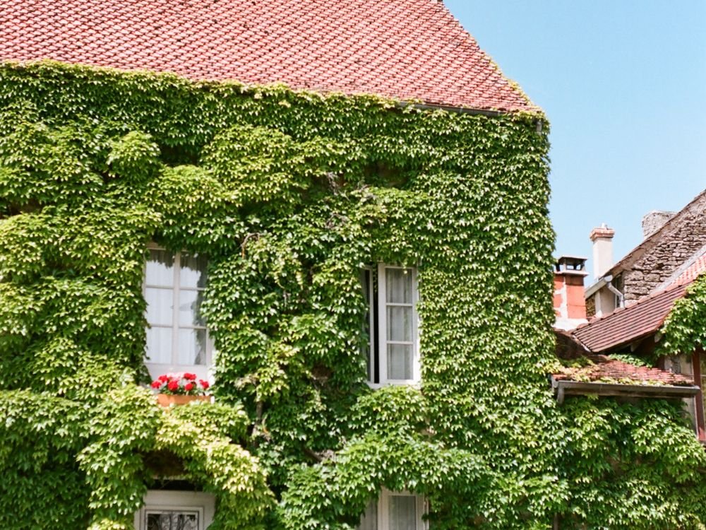 Maison à la façade couverte de végétation