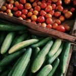 Cagettes de légumes frais sur un étal