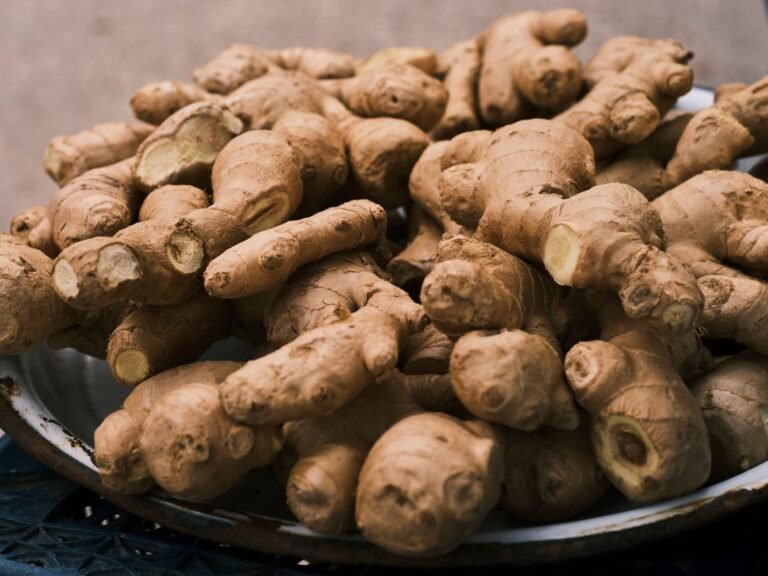Rhizomes de gingembre frais dans un bol