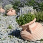 Allée de gravier bordée de lavandes en pots dans un jardin sec