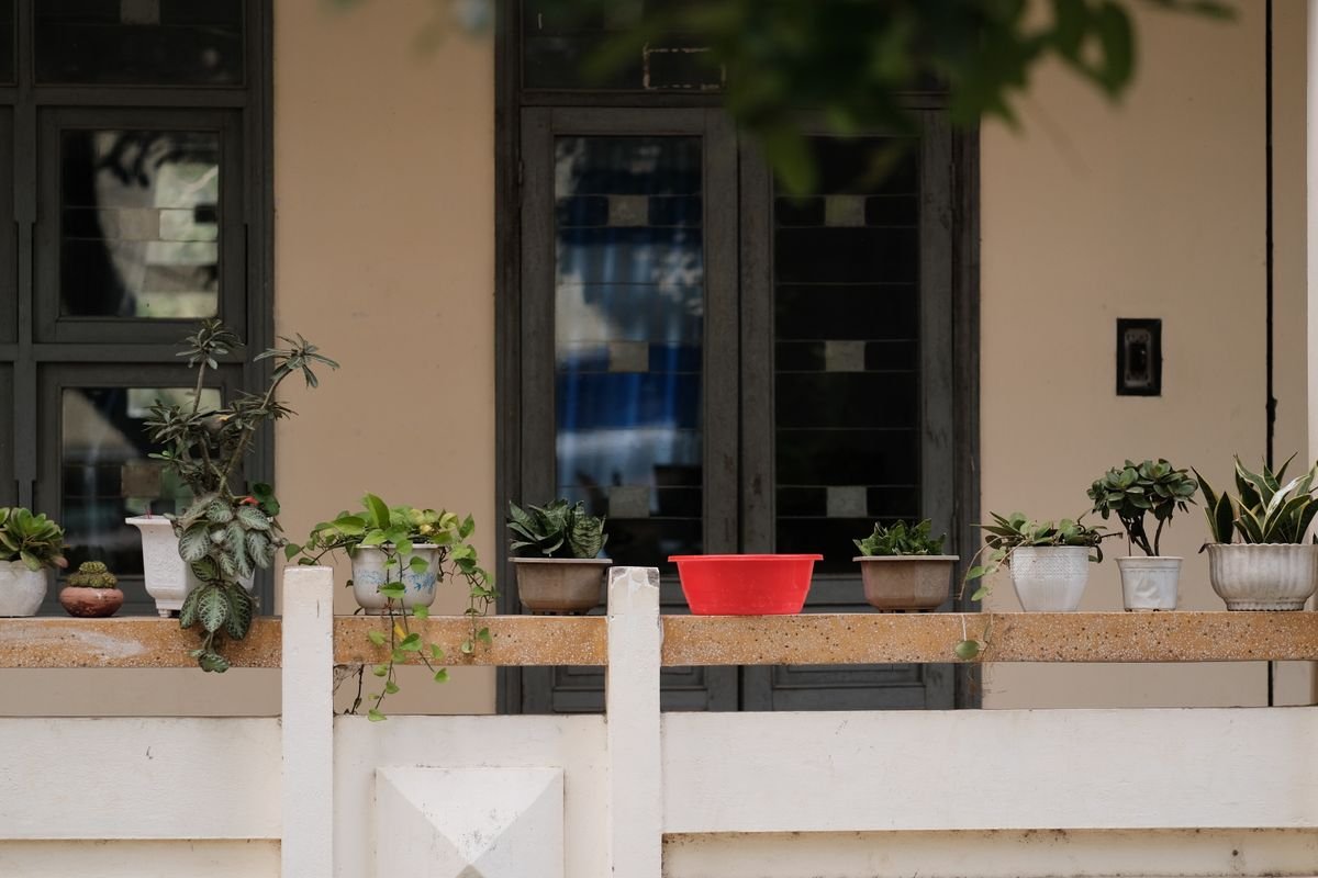 Balcon aménagé avec de nombreuses plantes en pot