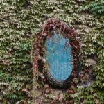 Mur de jardin entièrement recouvert de lierre grimpant