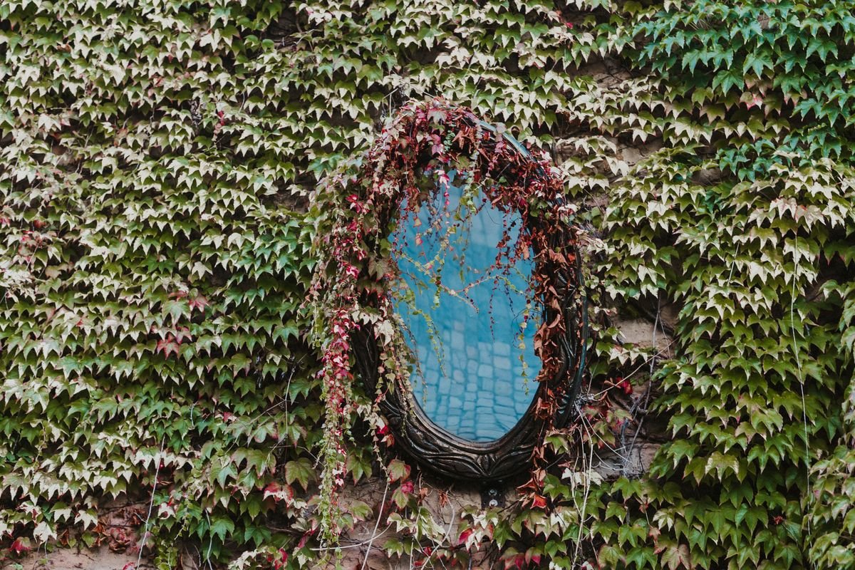Mur de jardin entièrement recouvert de lierre grimpant