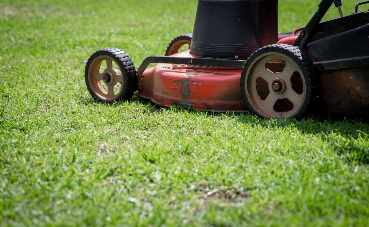 Tondeuse coupant l'herbe verte d'une pelouse au soleil