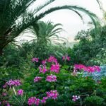 Massif exotique associant palmiers et floraisons roses dans un jardin