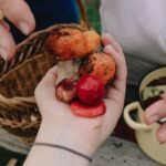 Main prélevant un champignon dans la litière