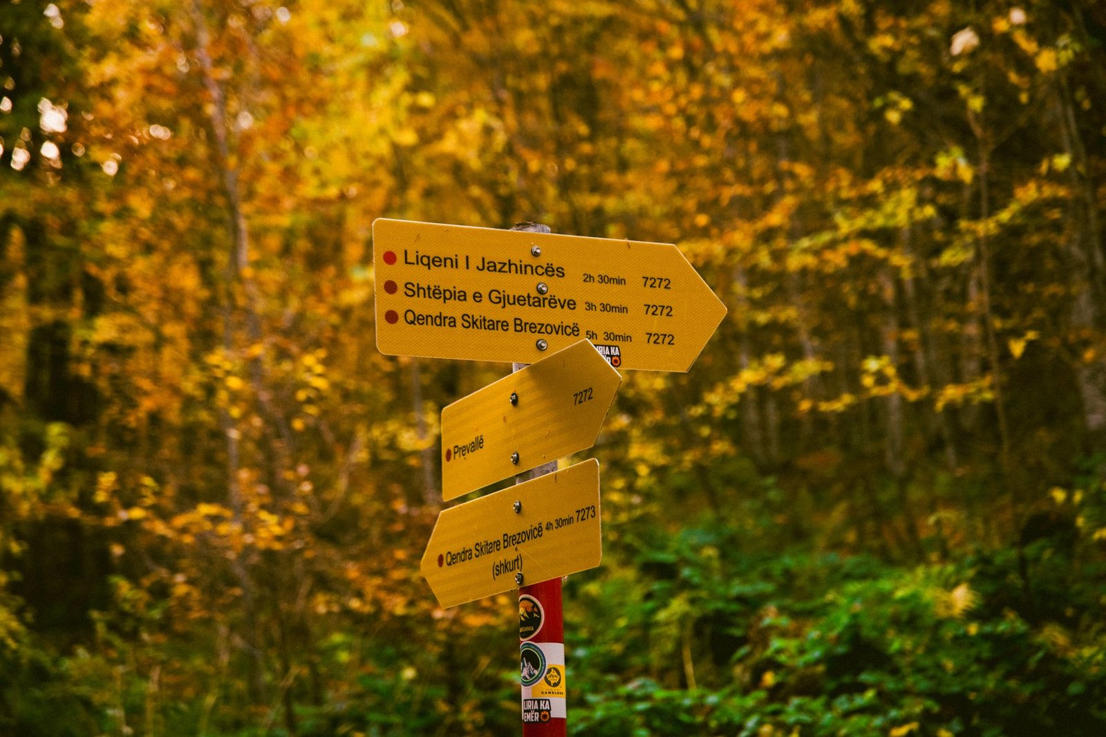 Chemin forestier et panneau de signalisation
