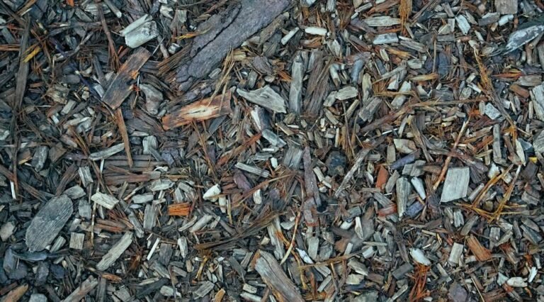 Paillage de copeaux de bois