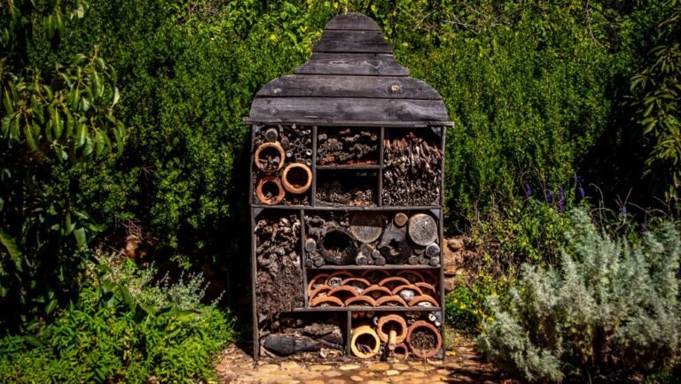 Hôtel à insectes au jardin